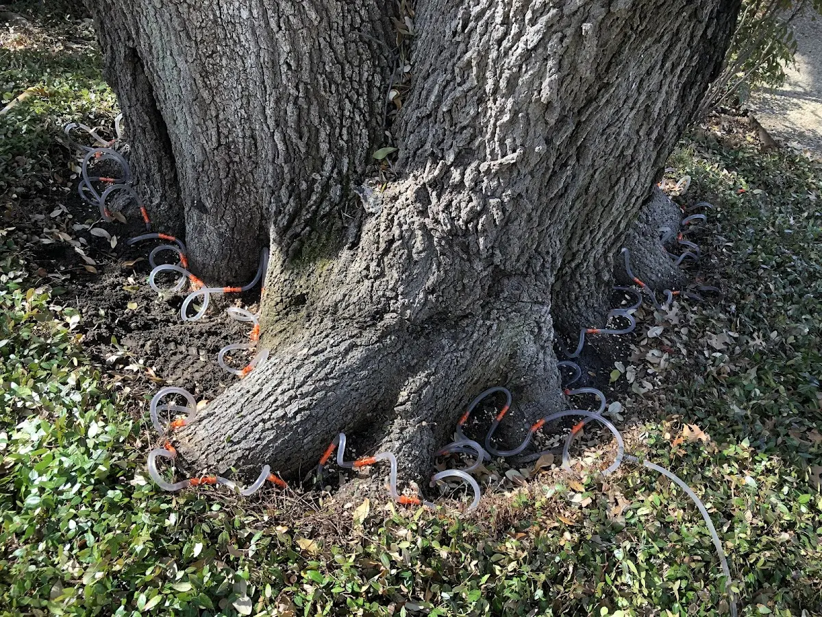 Detailed Shrub and Hedge Trimming job site in Centrahoma
