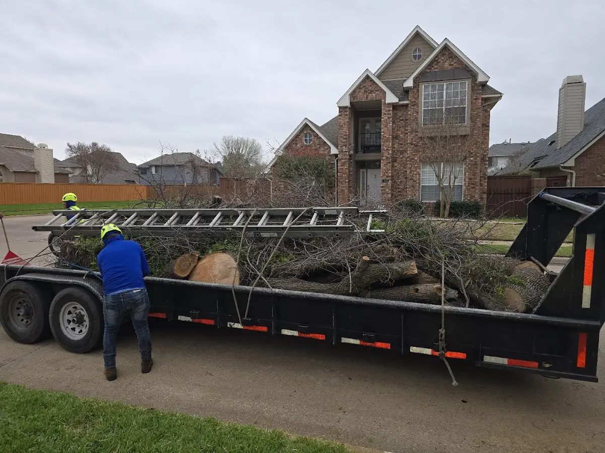 Expert Tree Removal with proper safety equipment in Centrahoma